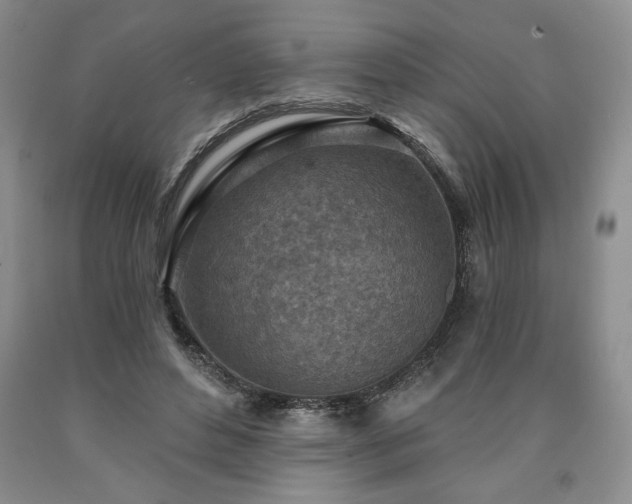 X0000090870496200707271253