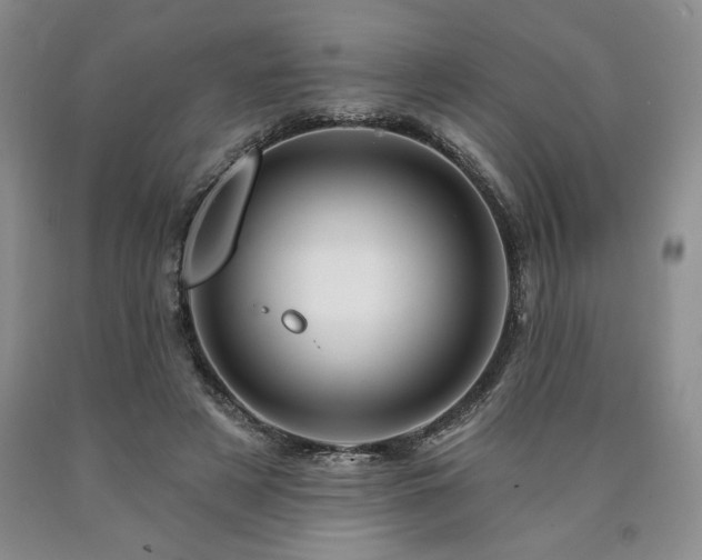 X0000090870497200707271253