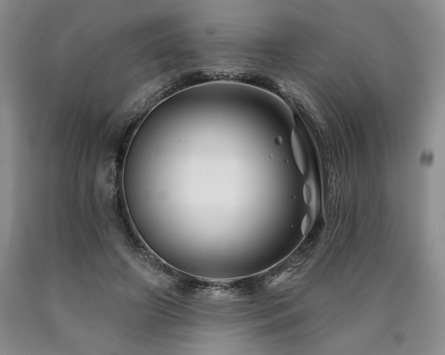 X0000090870498200707271253