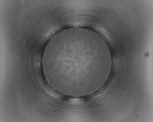 X0000090870499200707271253