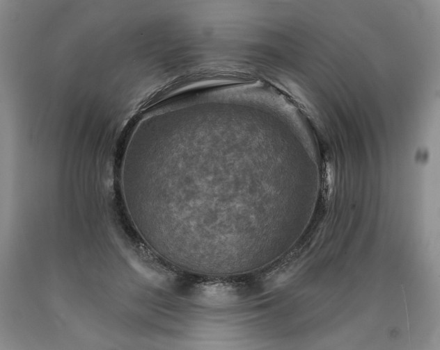 X0000090870500200707271253