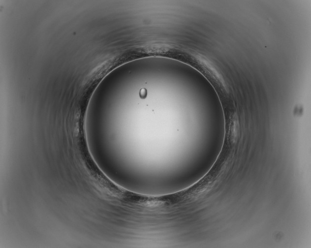 X0000090870501200707271253