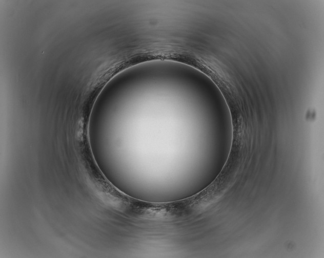 X0000090870502200707271253