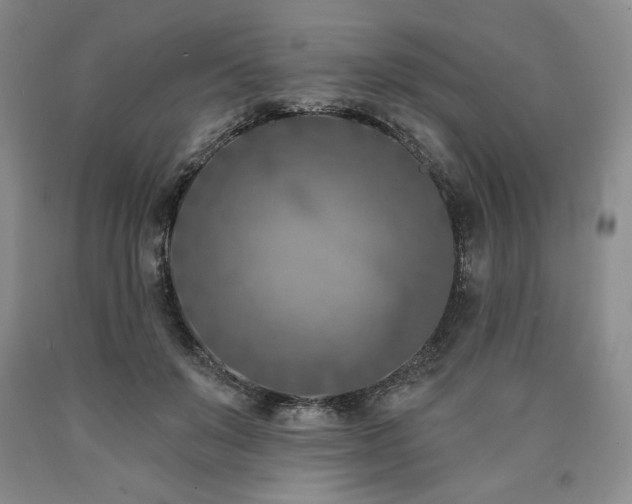 X0000090870503200707271253