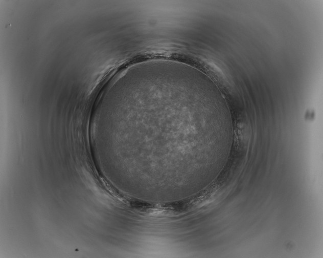 X0000090870504200707271253