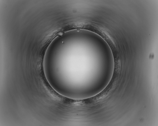 X0000090870505200707271253