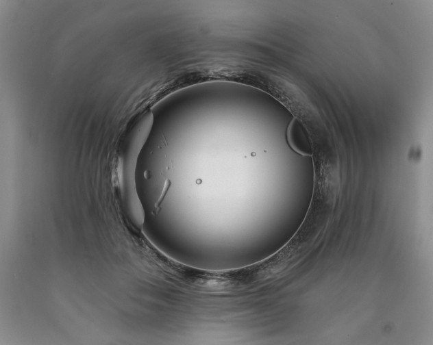 X0000090870506200707271253