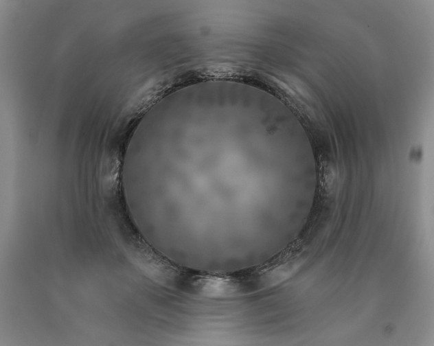 X0000090870507200707271253