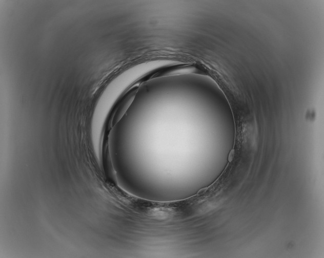 X0000090870508200707271253