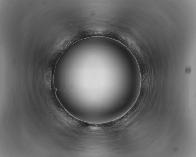 X0000090870509200707271253