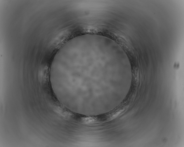 X0000090870511200707271253