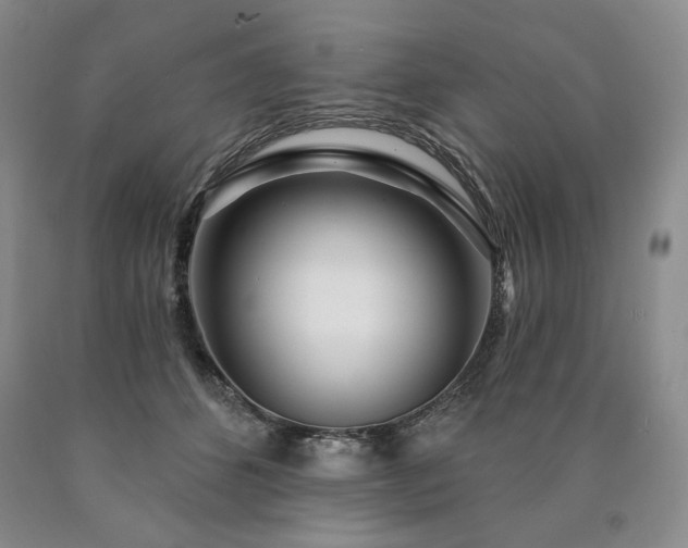 X0000090870512200707271253