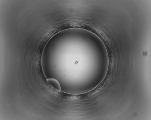 X0000090870513200707271253