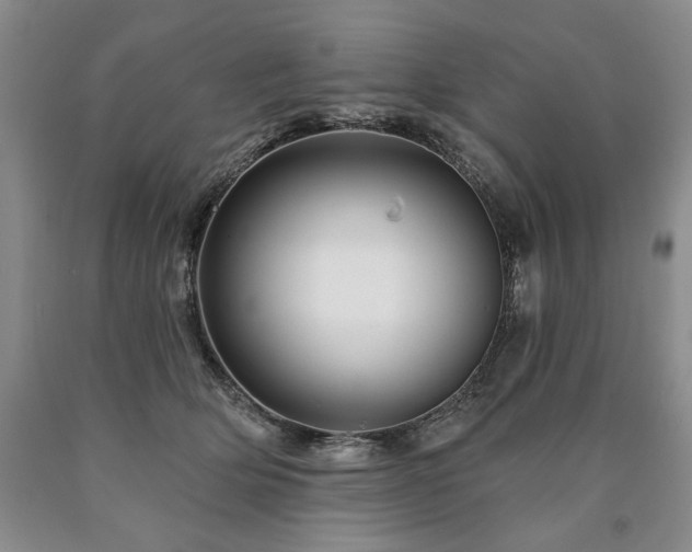 X0000090870514200707271253