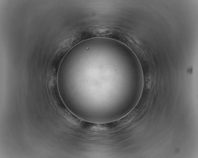 X0000090870515200707271253