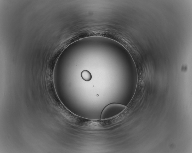 X0000090870518200707271253