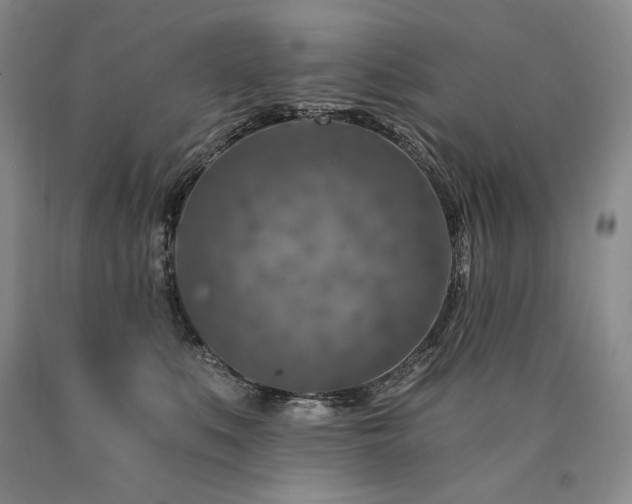 X0000090870519200707271253