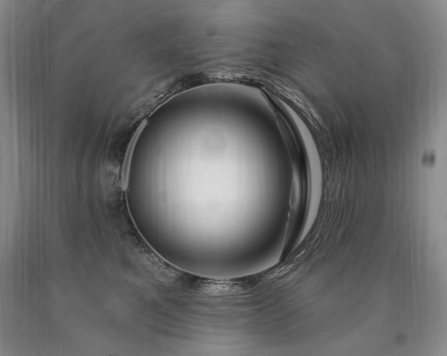 X0000090870521200707271253