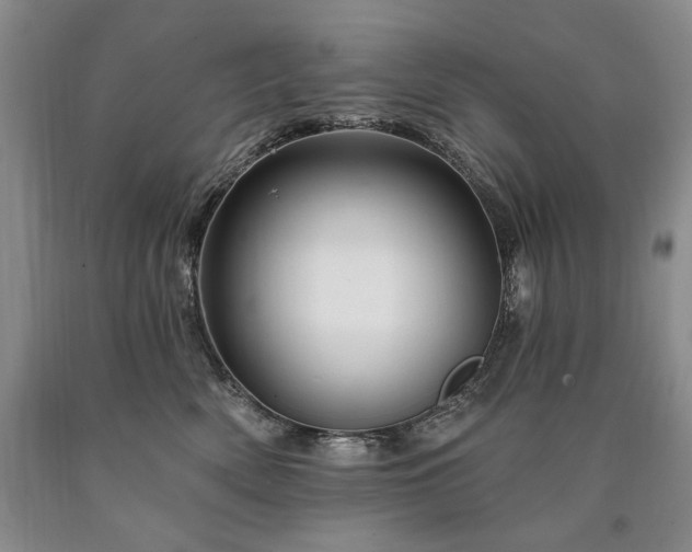 X0000090870522200707271253