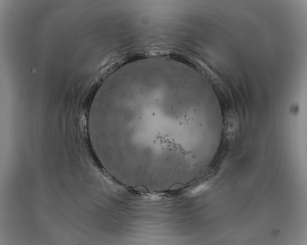 X0000090870523200707271253