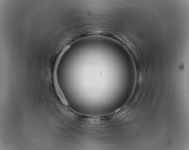 X0000090870524200707271253