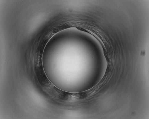 X0000090870525200707271253