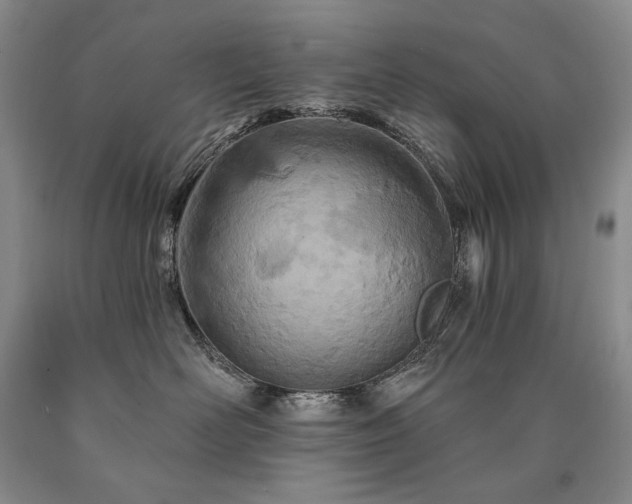 X0000090870526200707271253