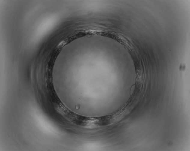 X0000090870527200707271253