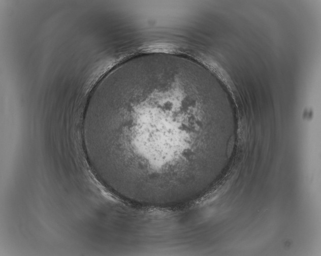 X0000090870529200707271252