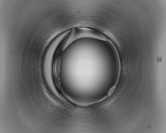 X0000090870530200707271252