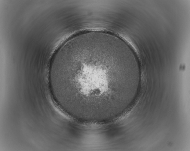 X0000090870533200707271252