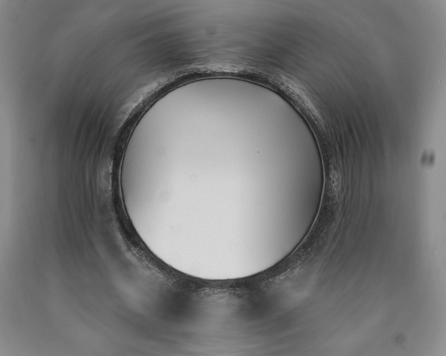 X0000090870534200707271252