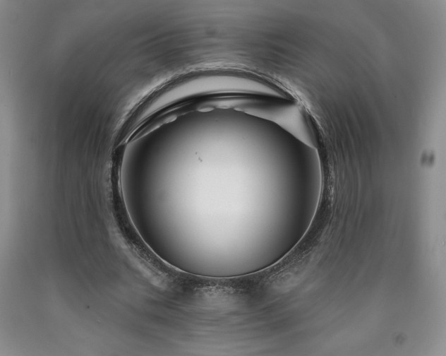 X0000090870535200707271252