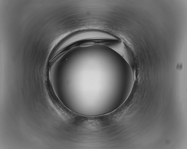 X0000090870536200707271252