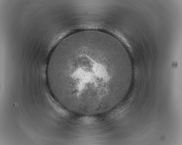 X0000090870537200707271252