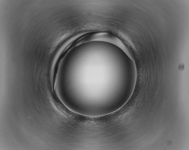 X0000090870538200707271252