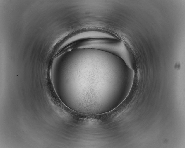 X0000090870539200707271252