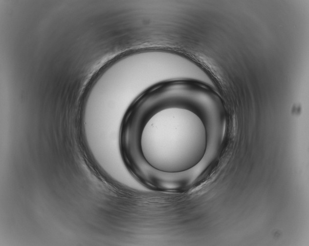 X0000090870540200707271252