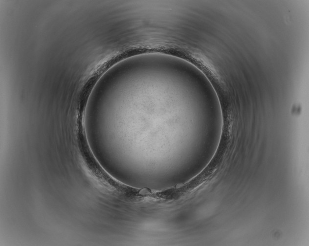 X0000090870542200707271252