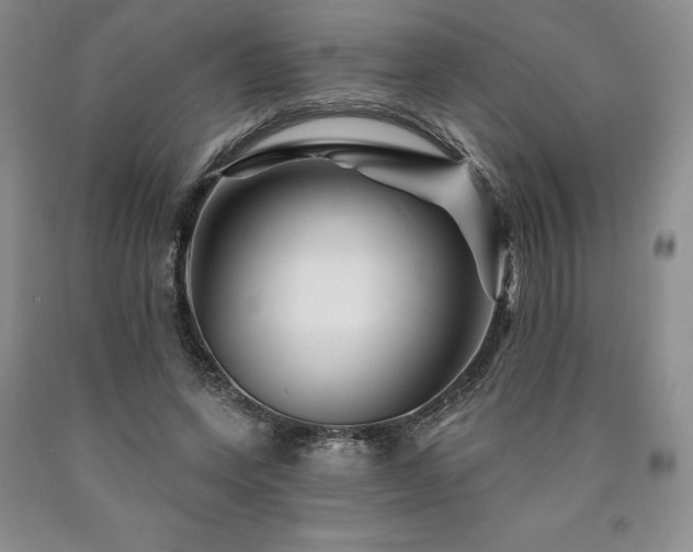 X0000090870543200707271252