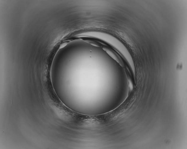 X0000090870544200707271252