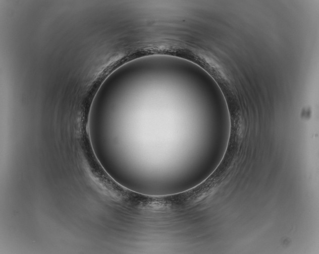 X0000090870546200707271252