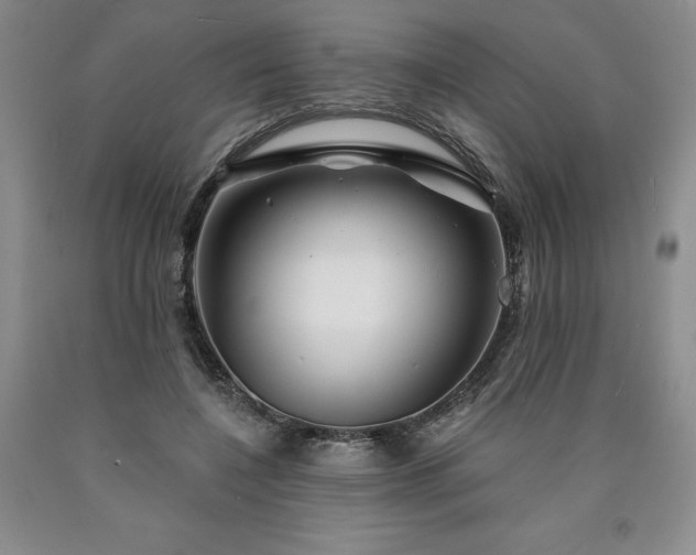 X0000090870548200707271252