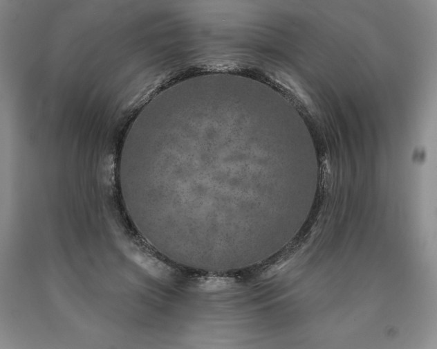 X0000090870549200707271252