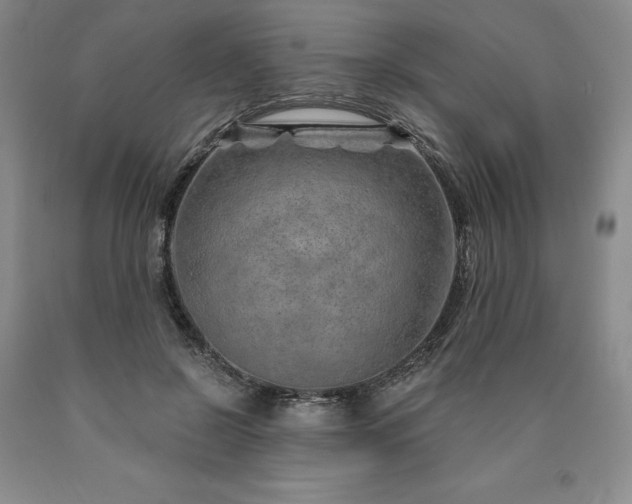 X0000090870550200707271252