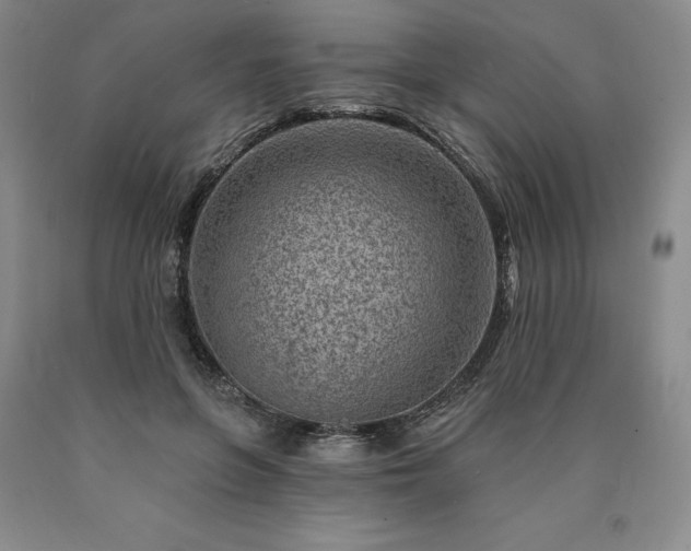 X0000090870551200707271252