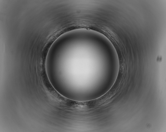 X0000090870552200707271252