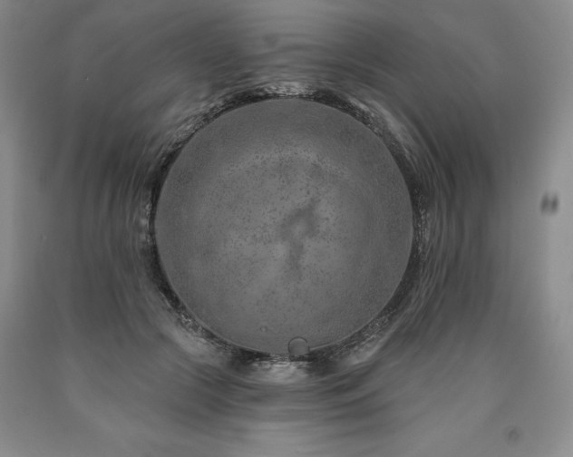 X0000090870553200707271252