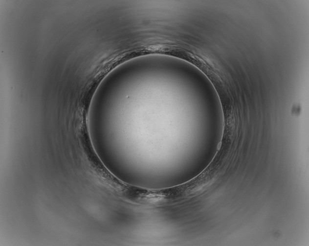 X0000090870554200707271252