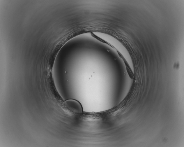 X0000090870555200707271252